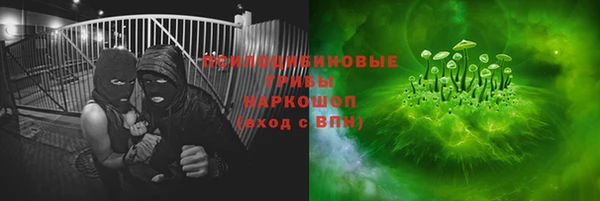 хмурый Алзамай