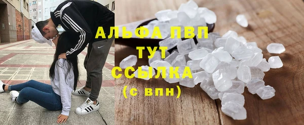 хмурый Алзамай