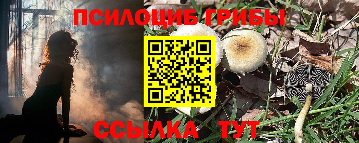 Галлюциногенные грибы Magic Shrooms Гусь-Хрустальный