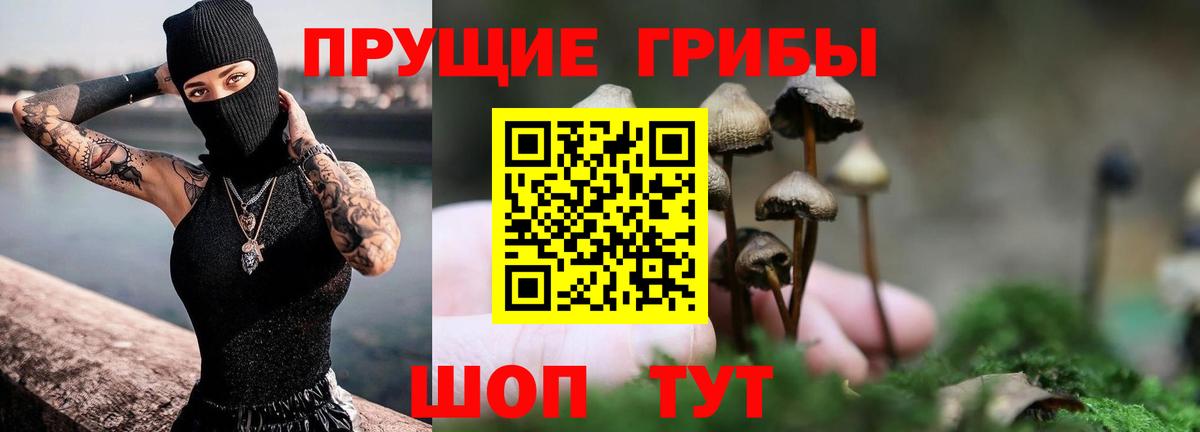 Гусь-Хрустальный  Псилоцибиновые грибы прущие грибы  Вход с VPN 